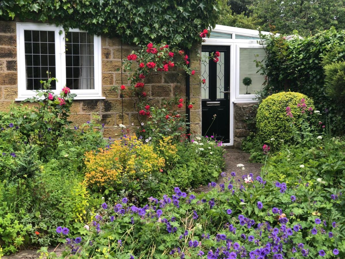 Scalby Grove Cottage 斯卡伯勒 外观 照片