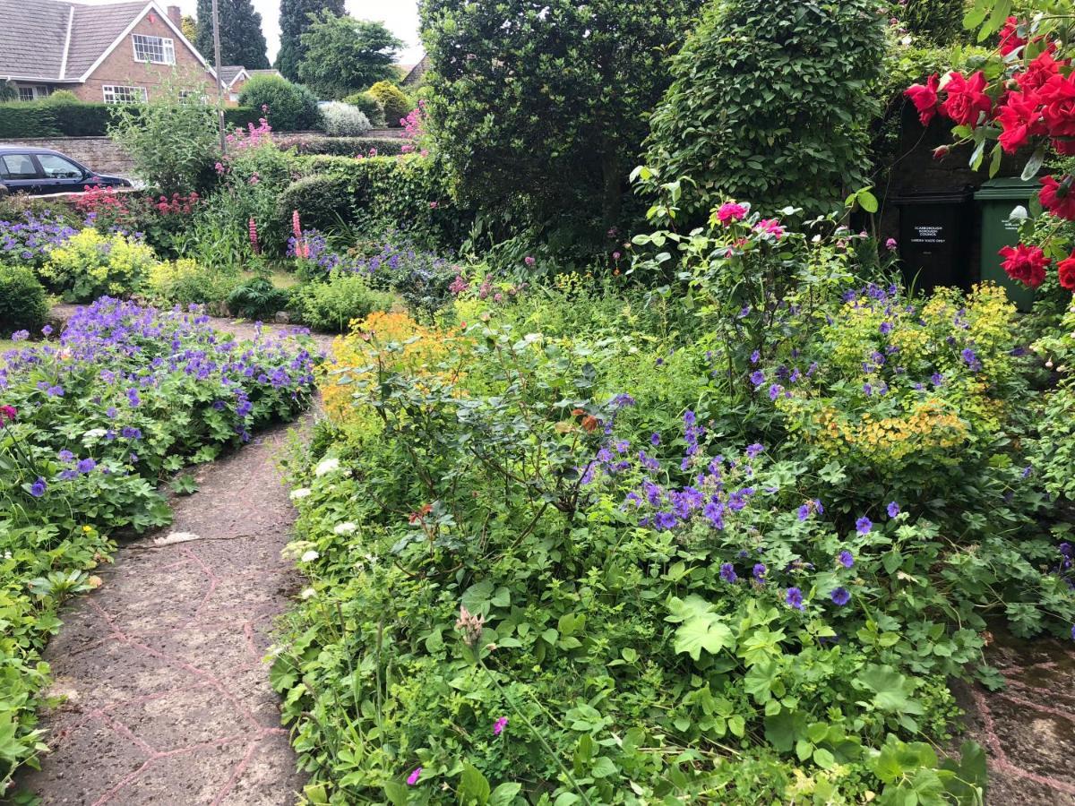 Scalby Grove Cottage 斯卡伯勒 外观 照片